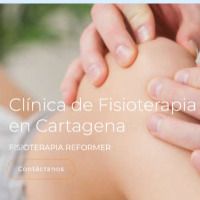 fisioreformer
